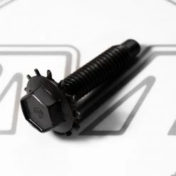 Mustang Auto Parts DOOR HINGE BOLT 1966-1968 5/16 XT-XY Falcon