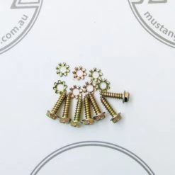 Mustang Auto Parts SCUTTLE PANEL (Cowl) SCREW KIT XR-XY Falcon