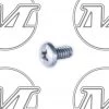 Mustang Auto Parts HEADLIGHT RETAINER RING SCREW FALCON STAINLESS STEEL